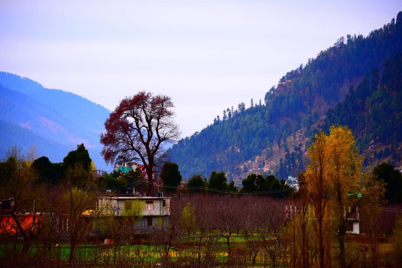 Hotel Kingston Manali (Himachal Pradesh) Exterior photo